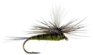 Blue Wing Olive Parachute